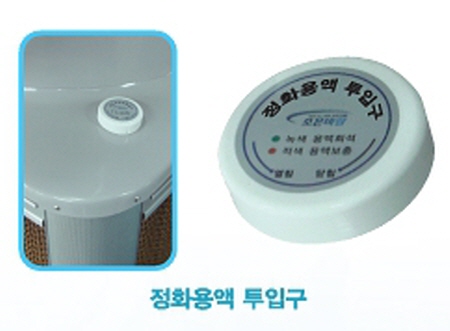 피톤치드