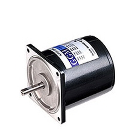 AC MOTOR INDUCTION MOTOR