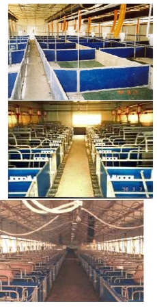 양돈 칸막이 PP-SHEET