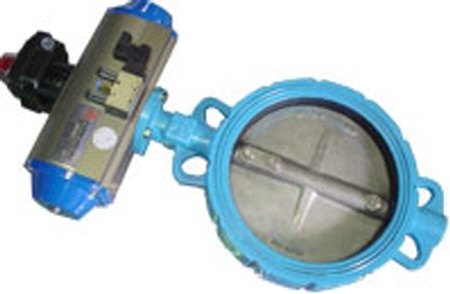 버터플라이 밸브