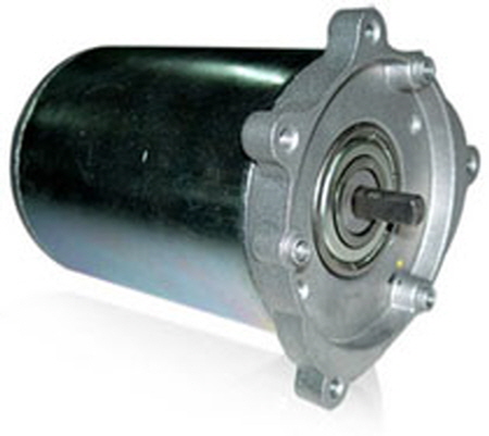 Permanet 마그넷 디씨모터