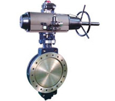 BUTTERFLY VALVE