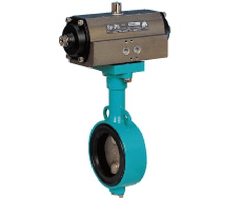 BUTTERFLY VALVE