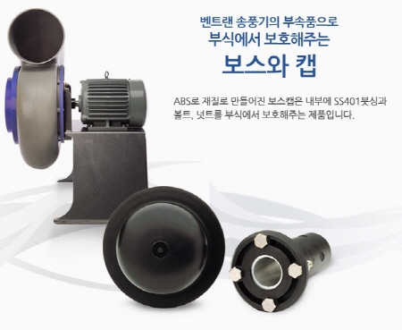 보스와 캡