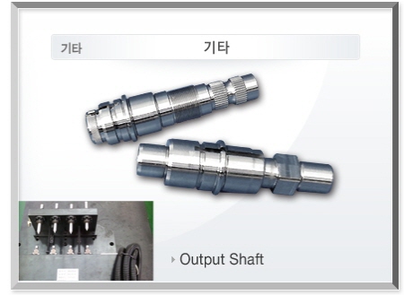 Output Shaft