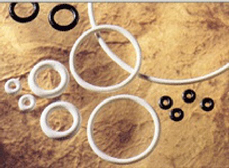 PTFE O-Ring
