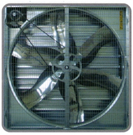 Pad&Fan