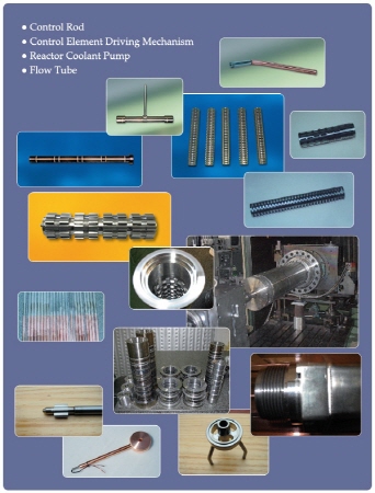 원자력 설비(Nuclear)