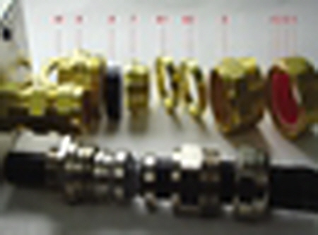 Cable Gland