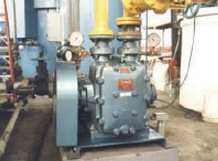 메가타 용적식 펌프