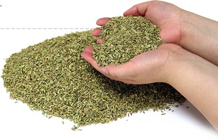 가나산미나리 효능