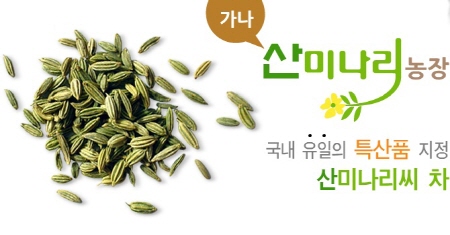 가나산미나리 농장