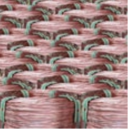 전기용 황인 동선