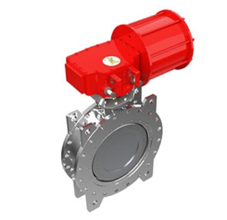 Butterfly Valve