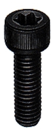 TORX SOCKET HEAD CAP SCREWS