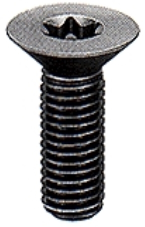 TORX SOCKET COUNTERSUNK  HEAD CAP SCREWS