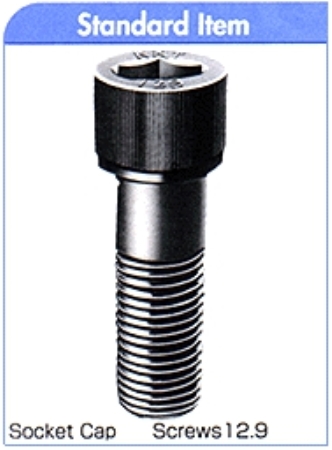 HEXAGON SOCKET HEAD CAP SCREWS