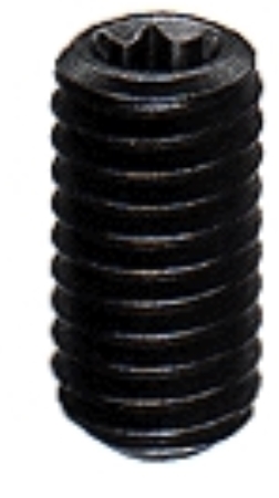 TORX SOCKET SET SCREWS