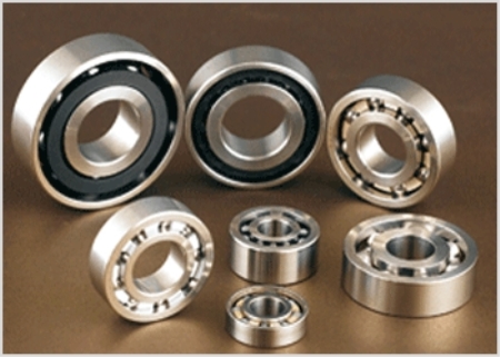 Hybrid Bearing