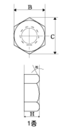 Hex Nut