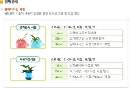 창의 인성 교육 프로그램