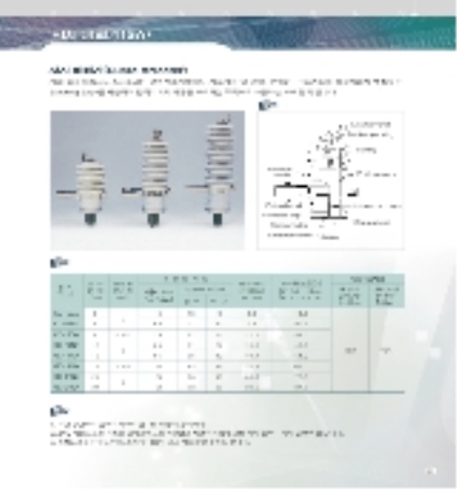 서지 피뢰기(SA)