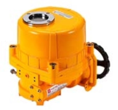 electric actuator
