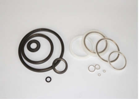 SPRING ENERGIZERED SEAL