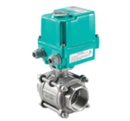 electric actuator