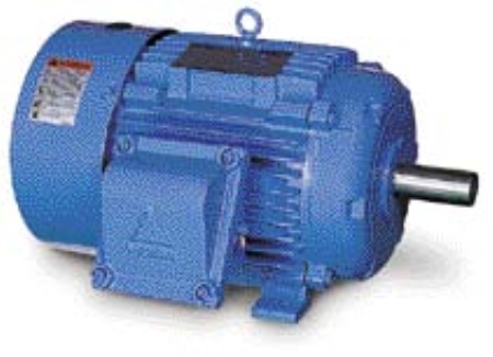 Mediem & Low Voltage Induction Motor