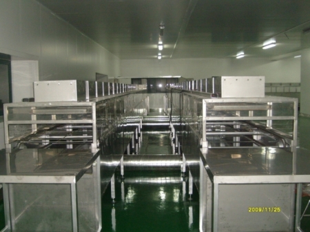 STS DRY OVEN CONVEYOR