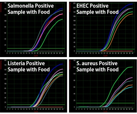 Foodborne Bacteria Detection Kits