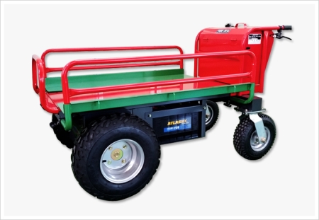 DW-2001