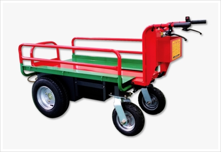DW-2000