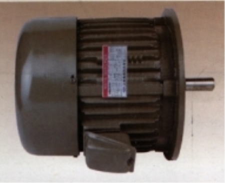 삼상유도전동기