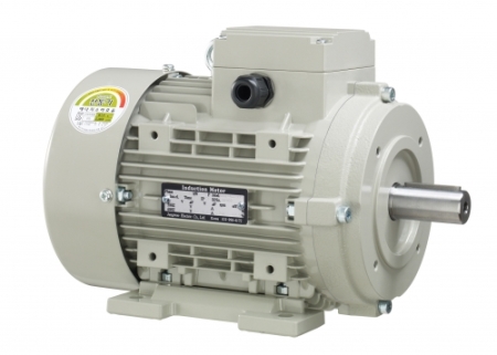 정우전기-삼상모터