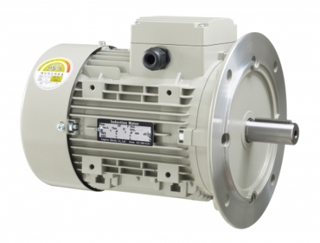 정우전기-삼상모터