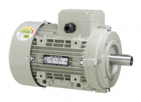 정우전기-삼상모터