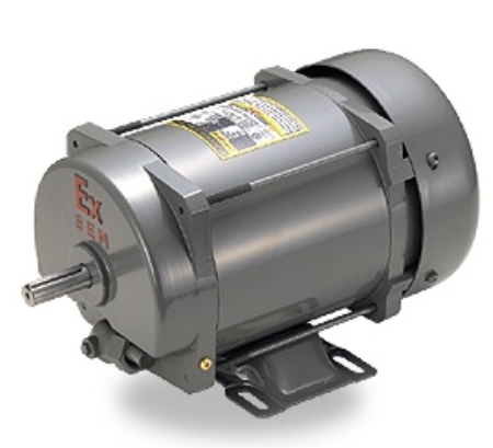 SHM - 내압방폭삼상 모터
