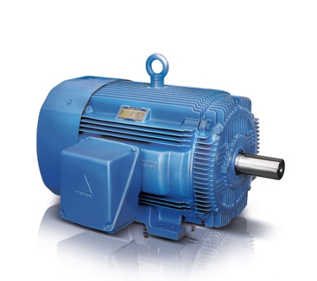 현대모터 - 저압전동기, 전폐형주물전동기