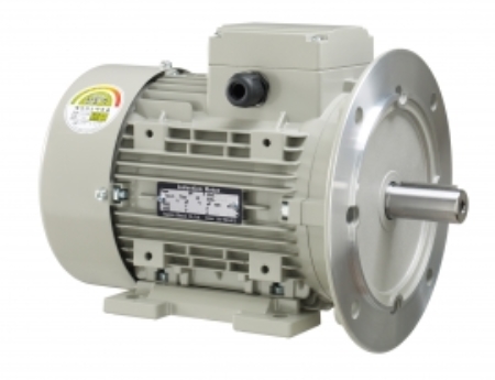 정우전기-삼상모터