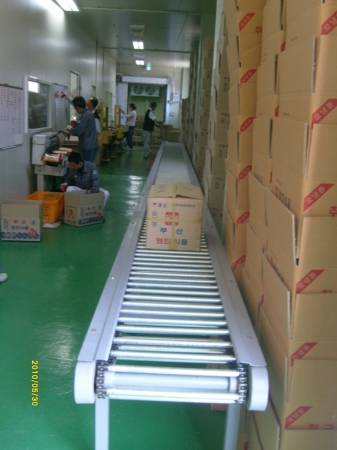 CHAIN CONVEYOR
