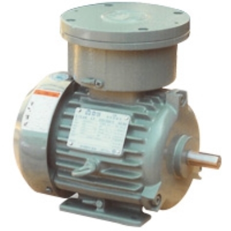 특수방폭형 전동기