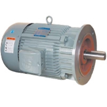 전폐플랜지형 전동기