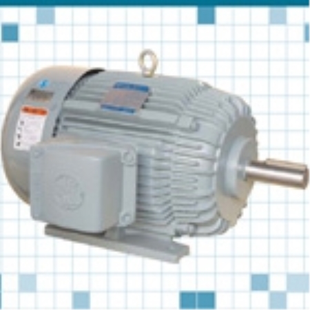 안전증 방폭형 전동기