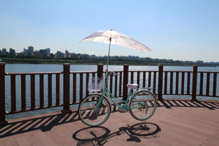 자전거 우산 wingwing