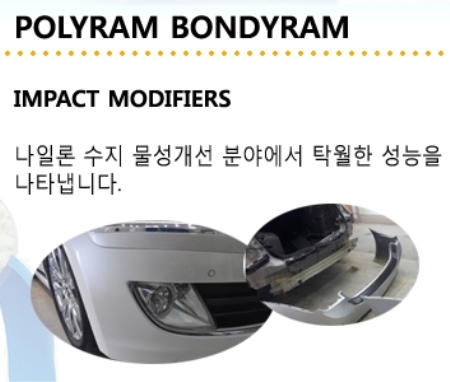 POLYRAM RAMCLEAN