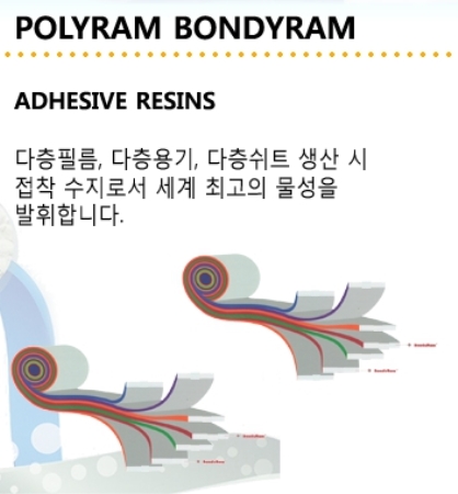 POLYRAM RAMCLEAN