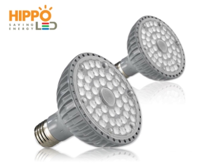 LED 파 램프