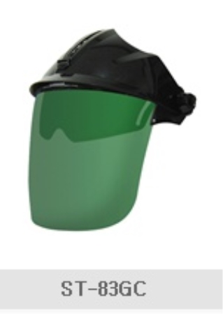 인터텔론 일반보안면